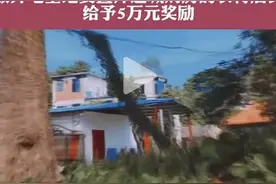 宅基地有偿退出，本轮救市最后一环祭出图片