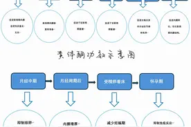 女性健康的“得力助手” ——黄体酮、地屈孕酮图片
