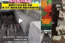 陕西又错了，古墓葬3000余座！西安车马坑并非秦人贵族习俗#文史图片