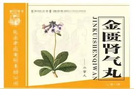 附子理中丸补不进的阳气，搭配上这3个中成药，把阳气补到根本图片