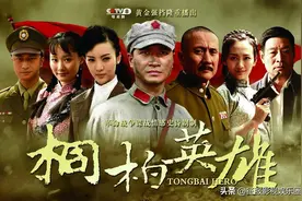 战争剧《桐柏英雄》金晨、王鸥、何晟铭、张志坚、张逗逗等主演图片