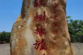 说说含“十”字的成语大世界图片