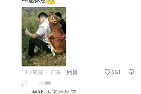 华南F3拜山祭祖有多炸裂？拜完后才发现是个蚂蚁窝图片
