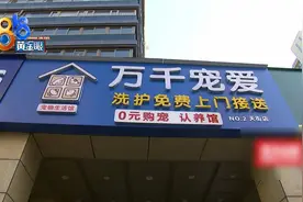 小狗可能终身瘫痪，主人怀疑前一天做过的这件事图片