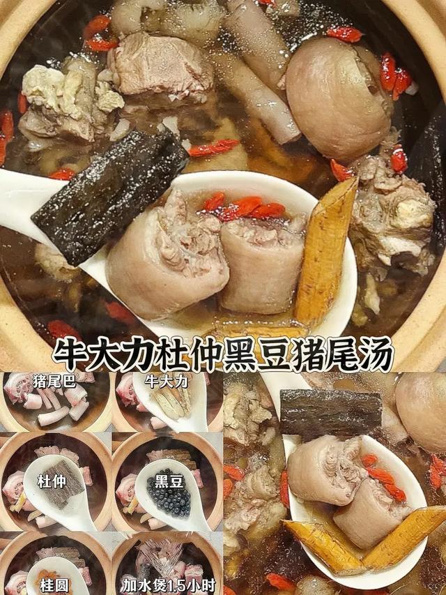 海马花胶羊肚菌做法 2026年羊肚菌海马汤有什么功效