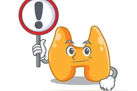 中青年男性的甲状腺抗体为什么会升高？看专家怎么说→图片
