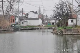 今日柳堡的故事图片