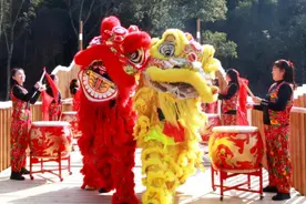 第十一届“太原庙会”即将盛大开幕，太原动物园邀您共赴蛇年新春狂欢图片
