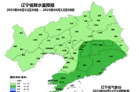 已确认！辽宁出现10级阵风！大到暴雪即将抵达！沈阳主要降水时段……图片