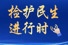 葡萄园里的暖心事图片