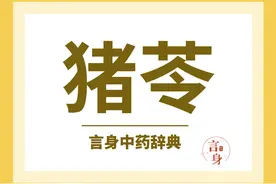 猪苓（利水消肿药）图片