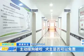 诉帮律师时间：主动摸狗被咬 犬主是否可以免责图片
