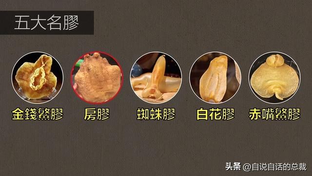 笔架鱼肚 花胶 区别 2026年笔架鱼肚怎么做好吃