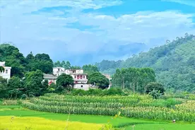 50岁阿姨自述：当住家保姆每月8000，虽然挣钱不少，可过得很纠结图片