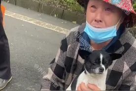 触动！阿姨抱着狗妈妈坐在路边卖小奶狗，结果和狗妈妈一起哭了！图片