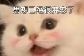搞笑表情包:对象没有，干饭总行吧图片