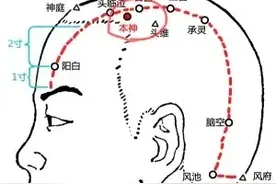 神奇本神穴，又称安神穴，头晕头痛等神志疾患都能用它，值得了解图片