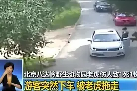 赵菁16年前八达岭野生动物园私自下车，被老虎撕咬，现在怎样了？图片