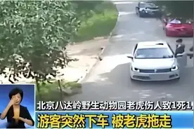 赵菁16年前八达岭野生动物园私自下车，被老虎撕咬，现在怎样了？图片