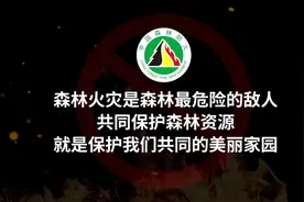 #森林防火 森林防火公益宣传短片：绿与红 爱与灰！（来源：中国森林防火）图片