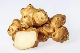 菊芋图片