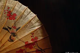 国货之光：我有一把油纸伞！图片