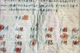 沈浩的无奈：改革提案没人听，村民只惦记发多少油！图片