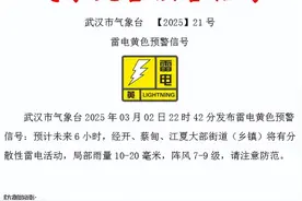 9级大风+大雪、暴雪、雷电预警！湖北强冷空气来袭图片