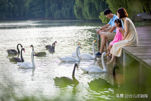 学生春假及五一去哪儿玩？台儿庄六大景区门票免费！
