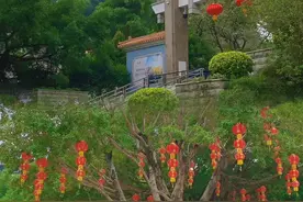 坦洲镇，介于中山与珠海之间的“奇葩”！图片