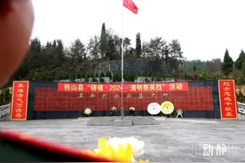 缅怀先烈，传承红色之志！贵州武警开展祭奠英烈活动图片