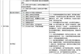 【收藏】经济责任审计完整工作流程（附底稿参考格式）图片