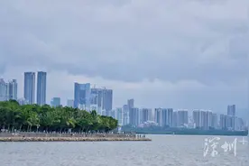 深圳ENJOY | 夏日第一站，去深圳湾看海吧图片