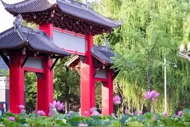 四川大学的“口腔医学”只能排名全球第十，你们觉得第一应该是谁图片