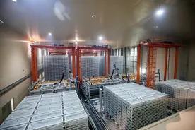 天有5亿条黑水虻幼虫“吃”湿垃圾 老港基地还要为它们扩建“新家”图片