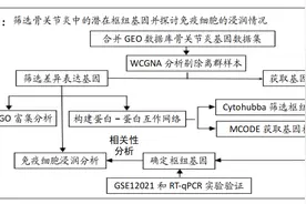 骨关节炎中枢纽基因及在免疫浸润中作用的生物信息学分析与鉴定图片