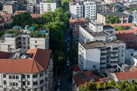 武汉百年老街成网红！她们在这拿手机猛拍图片