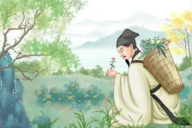 【秘方】村里老中医的神奇草药，竟能治愈绝症！🌿💊图片