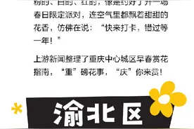 爆款预警！2025重庆早春赏花指南出炉，速来打卡图片