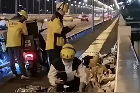 胖猫已火化，谭竹本人发文回应，原来早已和男孩爸爸和解图片