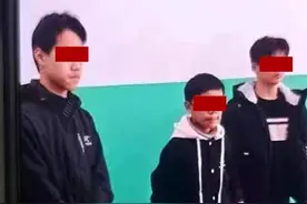 邯郸3名初中生谋害并将尸体掩埋在大棚里的埋尸案迎来宣判图片