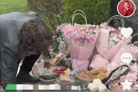 泪目！乔任梁母亲墓地看儿子，带11种食物4袋鲜花，1句话令人心酸图片
