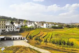 户口在村里，长期不在村里住，属于村集体成员，享有宅基地使用权图片