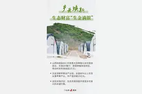 生态颜值变经济价值：解码山西绿色发展新路径图片