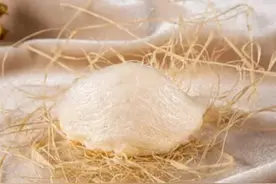 燕窝是怎么形成的，真是燕子用口水做成的？看完你还会想吃吗？图片