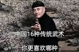 中国16种传统武术 你最喜欢哪一种图片
