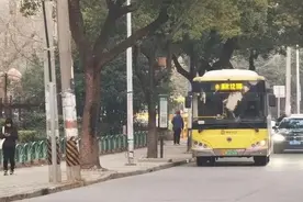 直达轨交14号线，嘉定这里的居民去上海市区快了1小时！图片