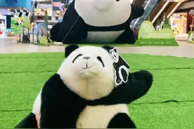 渝见“可爱”萌趣来袭，和熊猫一起过端午！图片