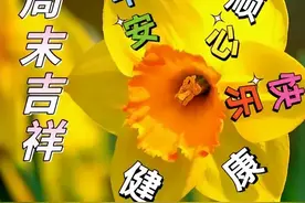 精美的早上好祝福表情包，祝你周末愉快图片