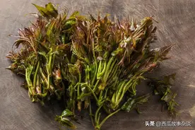 盘点以前农村到处都是没人吃，现在比猪肉还贵的10种田间野菜图片